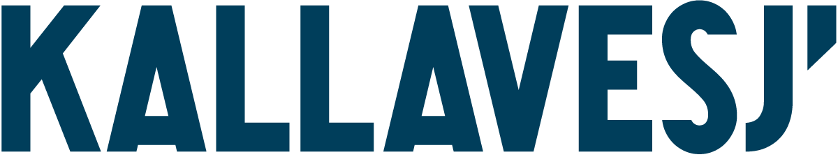 allt for sjon -messut 2024